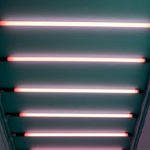 a ceiling that has a bunch of lights on it